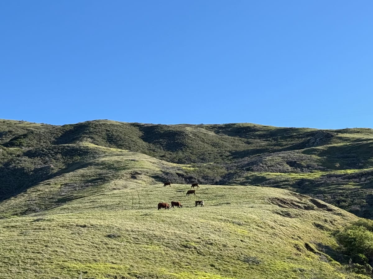Highway 1 tour photo 5