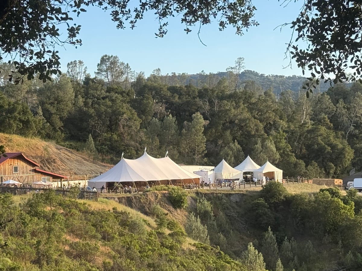 Opus one tour , Napa Valley photo 4