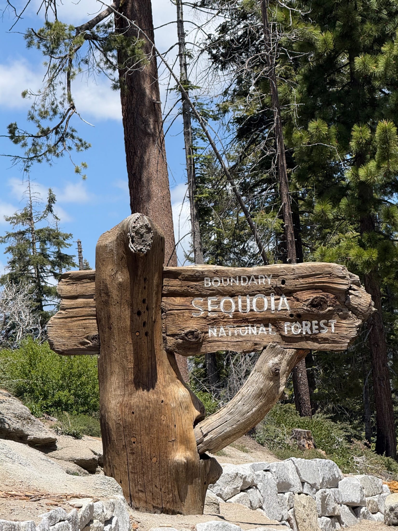 Sequoia national park photo 1