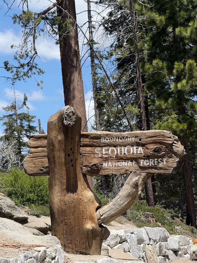 Sequoia national park