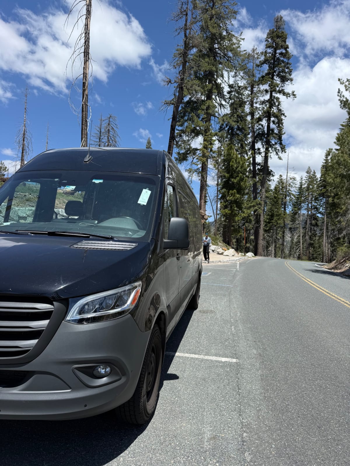 Sequoia national park photo 3