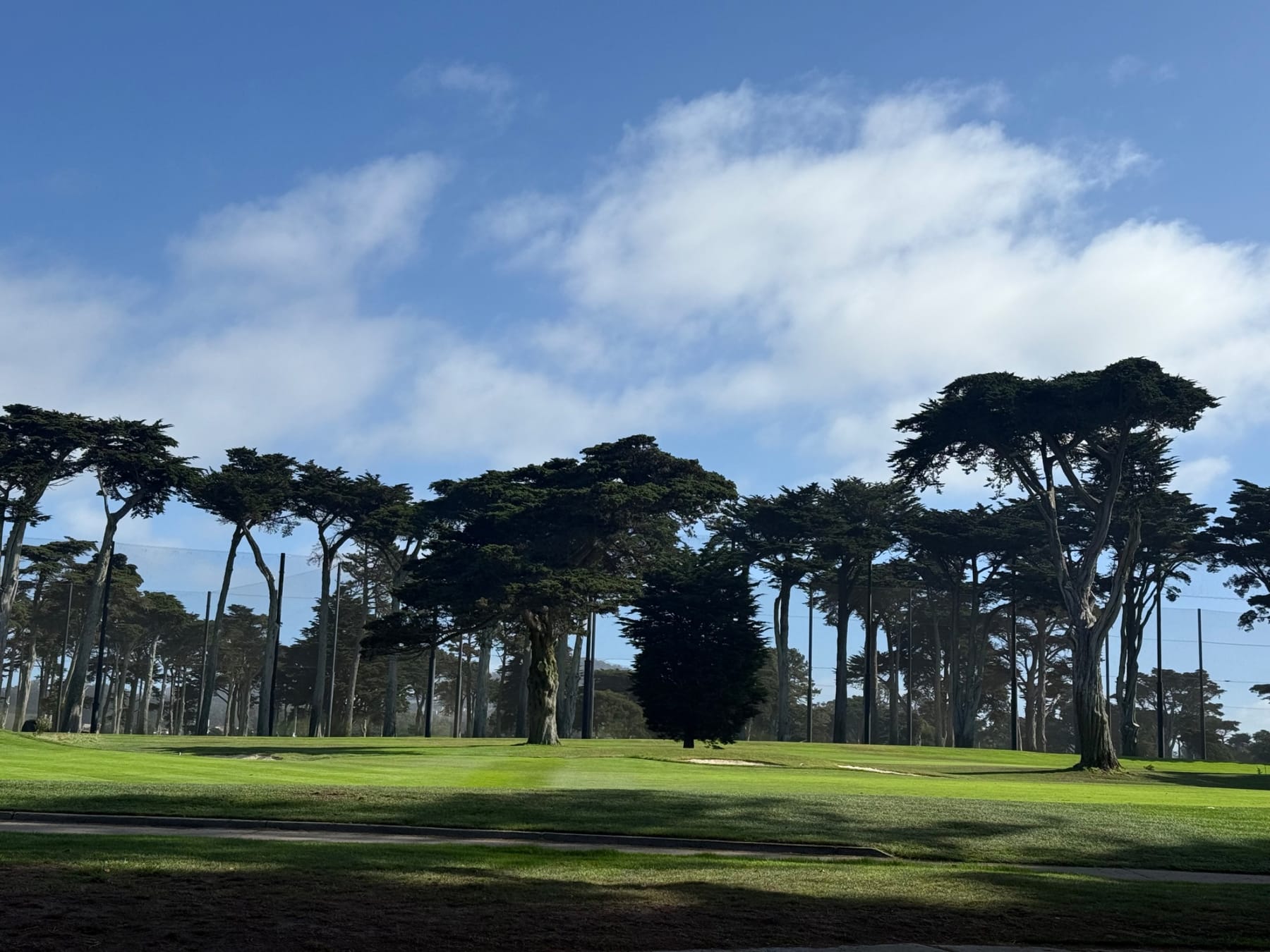 TPC Harding Park golf tour photo 1