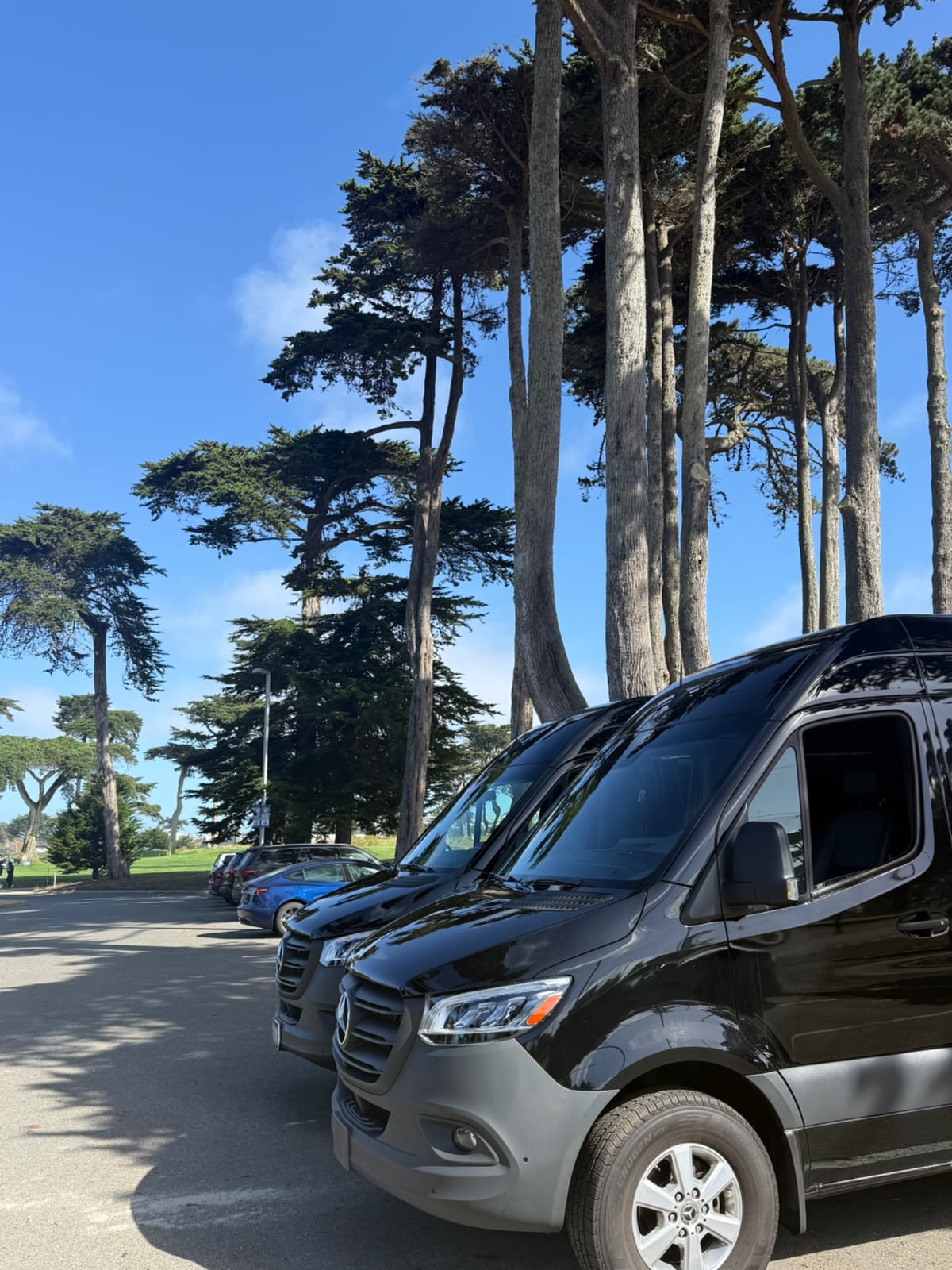 TPC Harding Park golf tour photo 2