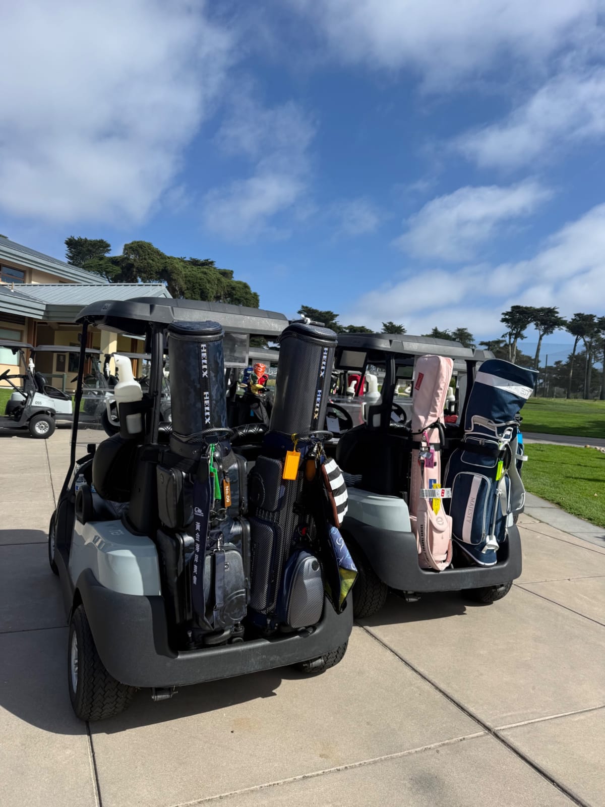 TPC Harding Park golf tour photo 3